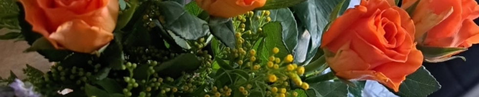 Banner profilu