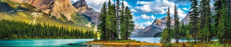 Banner profilu