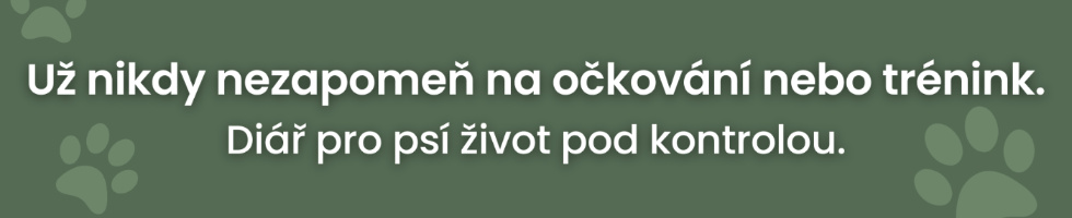 Banner profilu