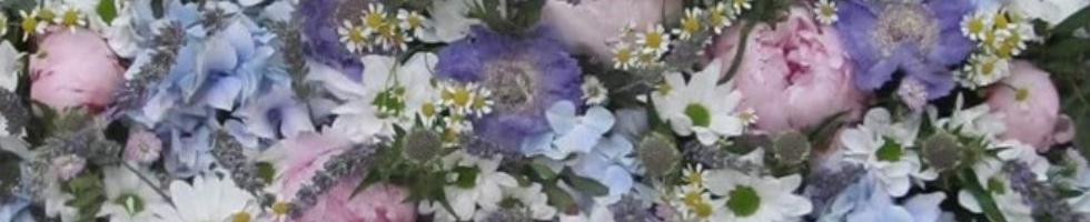 Banner profilu
