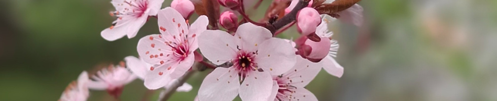 Banner profilu