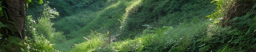 Banner profilu