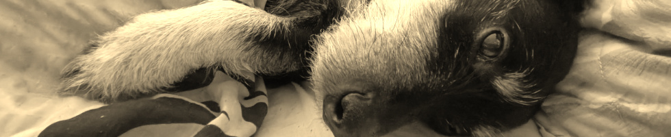 Banner profilu
