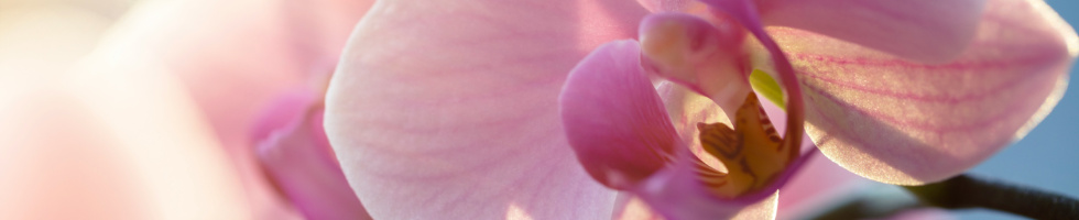 Banner profilu