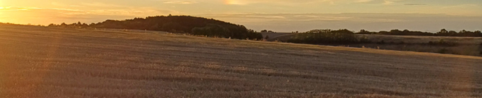 Banner profilu