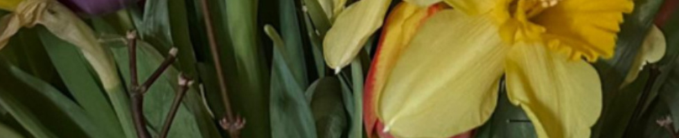 Banner profilu
