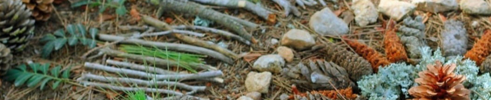 Banner profilu