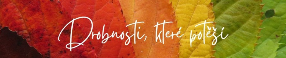 Banner profilu