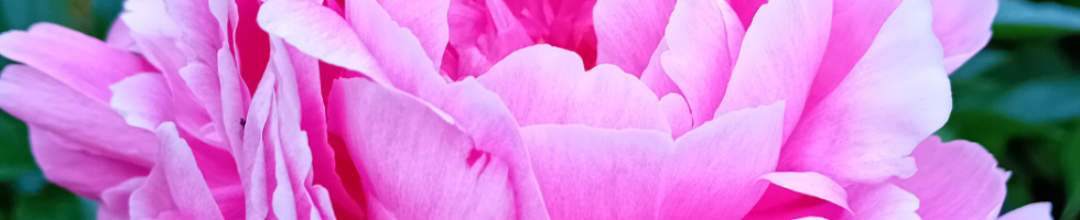 Banner profilu