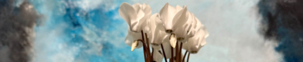 Banner profilu