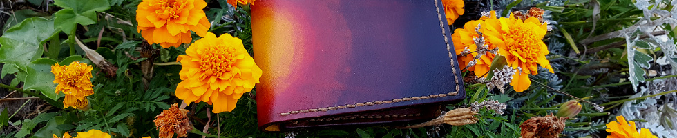 Banner profilu