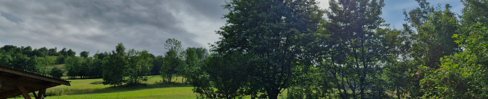 Banner profilu