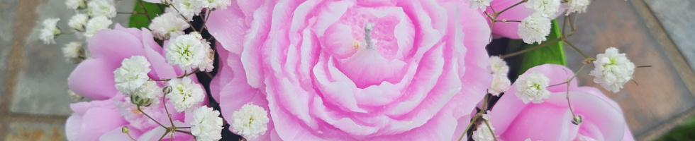 Banner profilu