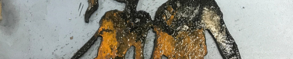 Banner profilu