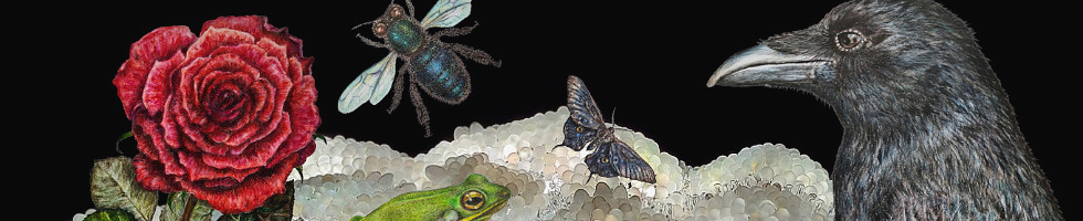 Banner profilu
