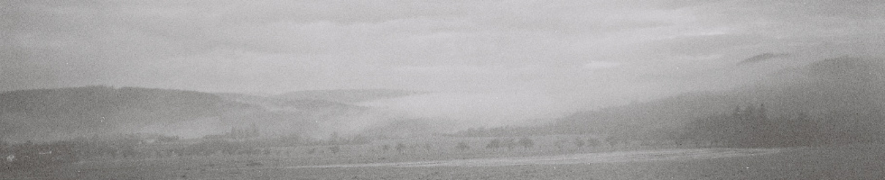Banner profilu