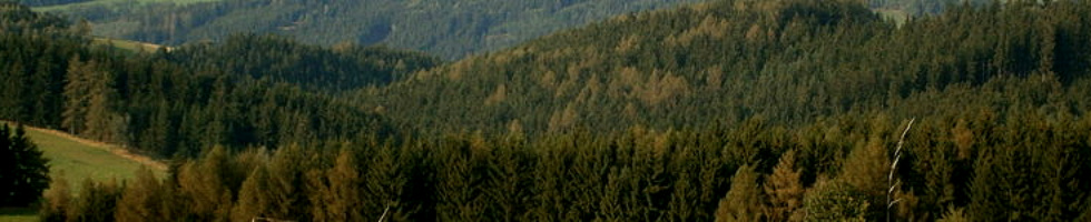 Banner profilu