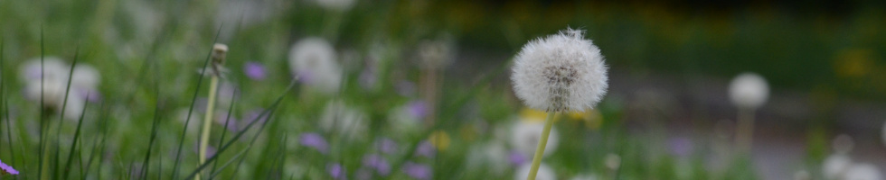 Banner profilu