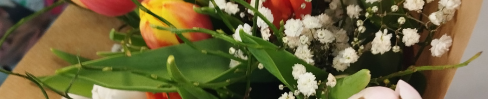 Banner profilu
