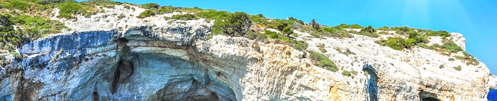 Banner profilu