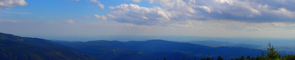 Banner profilu