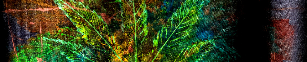 Banner profilu