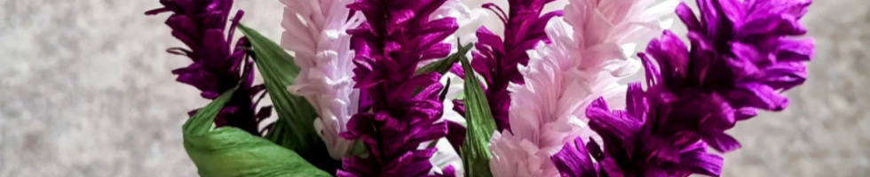 Banner profilu