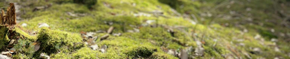 Banner profilu