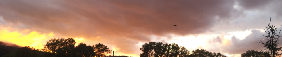Banner profilu