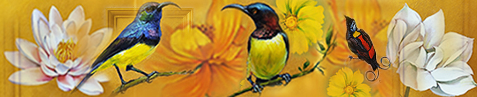 Banner profilu