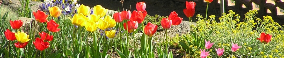 Banner profilu