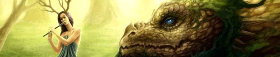 Banner profilu