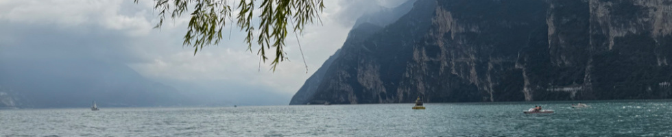 Banner profilu