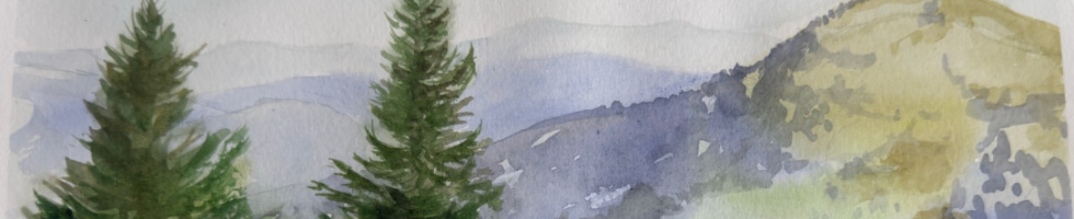 Banner profilu