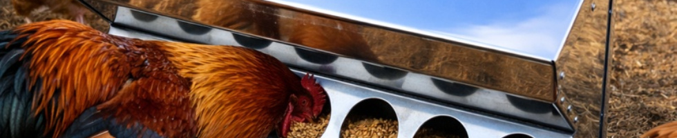 Banner profilu