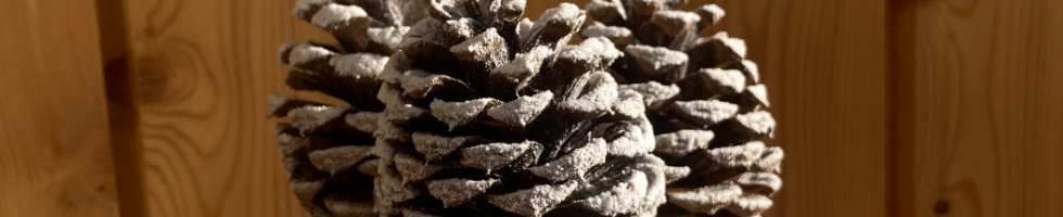 Banner profilu