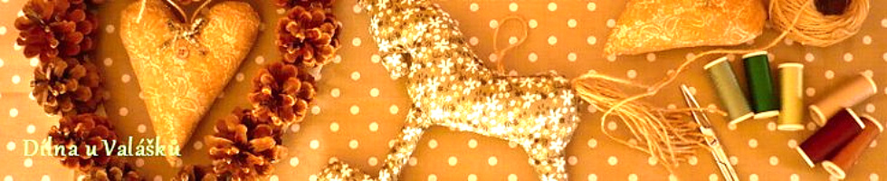 Banner profilu