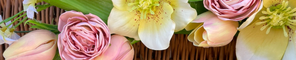 Banner profilu