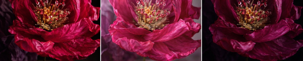 Banner profilu