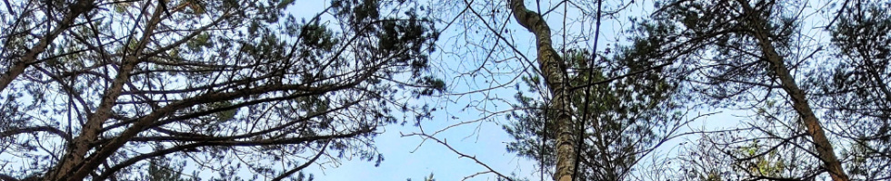 Banner profilu