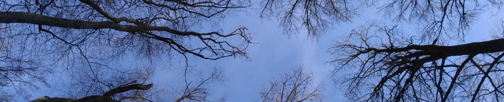 Banner profilu