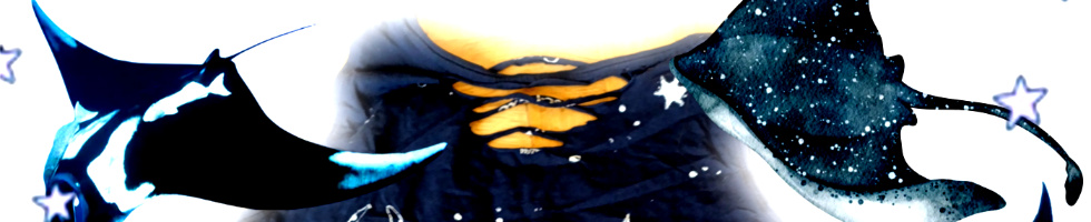 Banner profilu