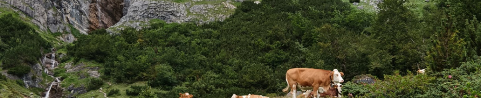 Banner profilu