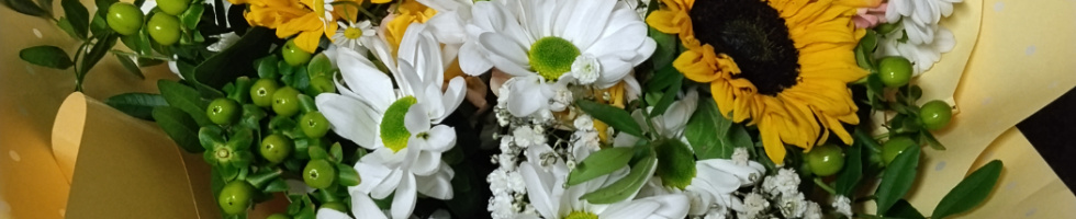 Banner profilu