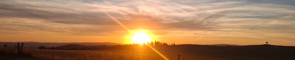 Banner profilu