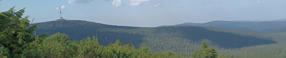 Banner profilu