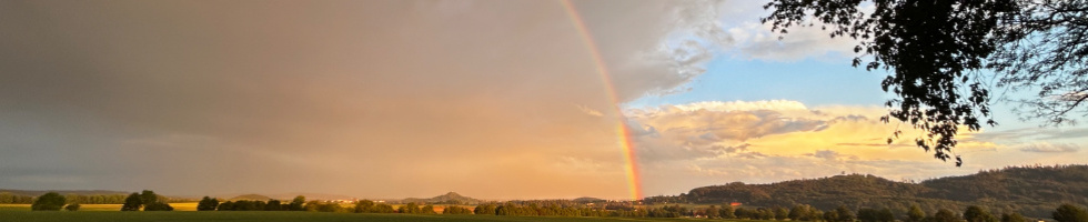 Banner profilu