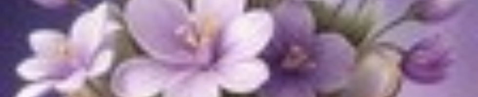 Banner profilu