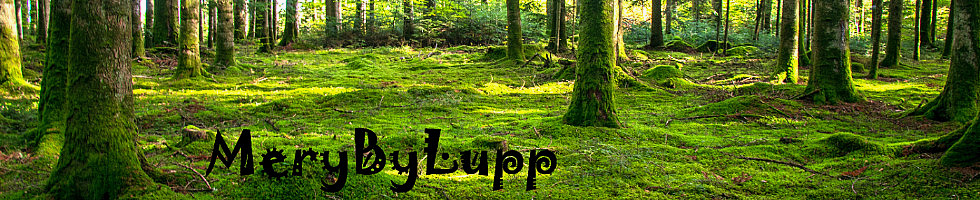 Banner profilu
