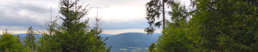 Banner profilu